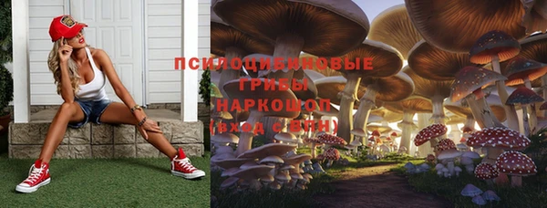 кокс Нея